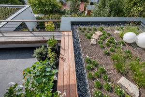 Modern roof terrace with planted flat roofs and outdoor bench Modern roof terrace with planted flat roofs and outdoor bench