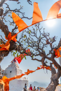 Orangefarbene pennants and flags with twisted branches at the monkey temple. Orangefarbene pennants and flags with twisted branches at the monkey temple.