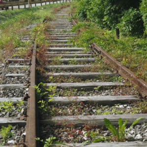 Disused section, track, weed Disused section, track, weed
