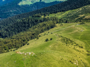 Mountainbiken in den französischen Hochpyrenäen Mountainbiken in den französischen Hochpyrenäen