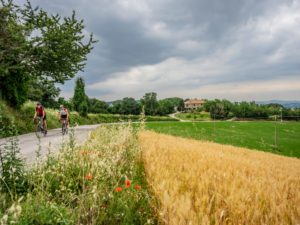 Zwei Rennradfahrer auf Tour im Apennin auf einer einsamen Bergstraße in der Nähe von Verucchio, Provinz Rimini in der Region Emilia-Romagna Zwei Rennradfahrer auf Tour im Apennin auf einer einsamen Bergstraße in der Nähe von Verucchio, Provinz Rimini in der Region Emilia-Romagna