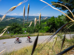 Zwei Rennradfahrer auf Tour im Apennin auf einer einsamen Bergstraße in der Nähe von Savignano di Rigo Provinz Rimini in der Region Emilia-Romagna Zwei Rennradfahrer auf Tour im Apennin auf einer einsamen Bergstraße in der Nähe von Savignano di Rigo Provinz Rimini in der Region Emilia-Romagna