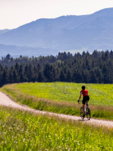 Rennradfahrer auf schmaler Bergstraße im Mittleren Schwarzwald, Gemeinde Biederbach, Baden-Württemberg Rennradfahrer auf schmaler Bergstraße im Mittleren Schwarzwald, Gemeinde Biederbach, Baden-Württemberg