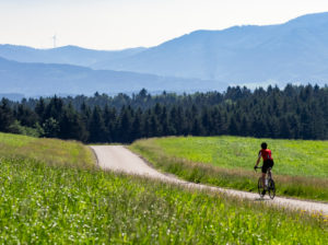 Rennradfahrer auf schmaler Bergstraße im Mittleren Schwarzwald, Gemeinde Biederbach, Baden-Württemberg Rennradfahrer auf schmaler Bergstraße im Mittleren Schwarzwald, Gemeinde Biederbach, Baden-Württemberg