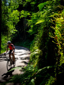 Rennradfahrer auf schmaler Bergstraße im Mittleren Schwarzwald, Gemeinde Biederbach, Baden-Württemberg Rennradfahrer auf schmaler Bergstraße im Mittleren Schwarzwald, Gemeinde Biederbach, Baden-Württemberg