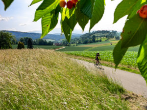 Rennradfahrer auf schmaler Bergstraße im Mittleren Schwarzwald, bei Emmendingen, Sexau Baden-Württemberg Rennradfahrer auf schmaler Bergstraße im Mittleren Schwarzwald, bei Emmendingen, Sexau Baden-Württemberg