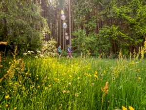 Wandern auf dem Zweitälersteig, Weg in der Nähe des Landwassereck Wandern auf dem Zweitälersteig, Weg in der Nähe des Landwassereck