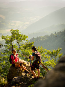 Hiking on the Zweälersteig, narrow hiking trail at the Thomashütte, Kandel Hiking on the Zweälersteig, narrow hiking trail at the Thomashütte, Kandel