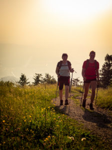 Hiking on the Zweälersteig, narrow hiking trail at the summit of the Kandel, view towards the west Hiking on the Zweälersteig, narrow hiking trail at the summit of the Kandel, view towards the west