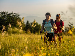 Hiking on the Zweälersteig, narrow hiking trail at the summit of the Kandel, view towards the west Hiking on the Zweälersteig, narrow hiking trail at the summit of the Kandel, view towards the west