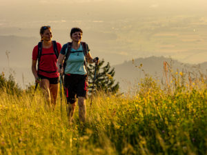Hiking on the Zweälersteig, narrow hiking trail at the summit of the Kandel, view towards the west Hiking on the Zweälersteig, narrow hiking trail at the summit of the Kandel, view towards the west