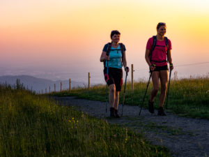 Hiking on the Zweälersteig, narrow hiking trail at the summit of the Kandel, view towards the west Hiking on the Zweälersteig, narrow hiking trail at the summit of the Kandel, view towards the west