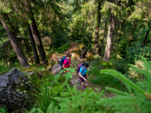 Hiking on the second valley path, narrow path on the Kandel Hiking on the second valley path, narrow path on the Kandel