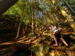 Wandern auf dem Zweitälersteig, Schmaler Wanderweg bei der Thomashütte, Kandel Wandern auf dem Zweitälersteig, Schmaler Wanderweg bei der Thomashütte, Kandel