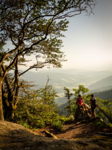 Wandern auf dem Zweitälersteig, Schmaler Wanderweg bei der Thomashütte, Kandel Wandern auf dem Zweitälersteig, Schmaler Wanderweg bei der Thomashütte, Kandel