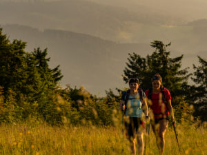 Wandern auf dem Zweitälersteig, schmaler Wanderweg am Gipfel des Kandel, Blick Richtung Westen Wandern auf dem Zweitälersteig, schmaler Wanderweg am Gipfel des Kandel, Blick Richtung Westen