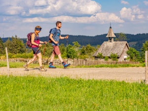 Wandern auf dem Zweitälersteig, Rohrhardsberg Wandern auf dem Zweitälersteig, Rohrhardsberg