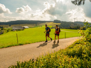 Wandern auf dem Zweitälersteig, Rohrhardsberg, im Hintergrund Schänzlehof Wandern auf dem Zweitälersteig, Rohrhardsberg, im Hintergrund Schänzlehof