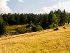 Wandern auf dem Zweitälersteig, Rohrhardsberg, Gasthaus zur Schwedenschanze Wandern auf dem Zweitälersteig, Rohrhardsberg, Gasthaus zur Schwedenschanze