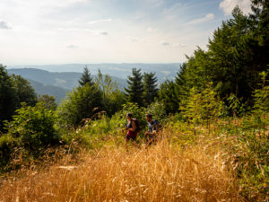 Wandern auf dem Zweitälersteig, Tafelbühl mit Blick ins Simonswäldertal Wandern auf dem Zweitälersteig, Tafelbühl mit Blick ins Simonswäldertal