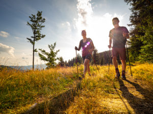 Wandern auf dem Zweitälersteig, Magerweiden am Rohrhardsberg Wandern auf dem Zweitälersteig, Magerweiden am Rohrhardsberg