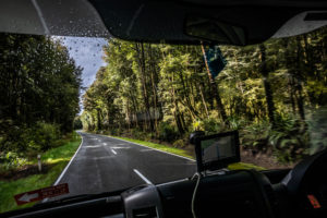 Road through forest, Diskblick, Highway 7, South Island New Zealand Road through forest, Diskblick, Highway 7, South Island New Zealand
