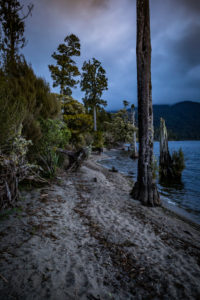 Evening mood on the shores of Lake Brunner, South Island New Zealand Evening mood on the shores of Lake Brunner, South Island New Zealand