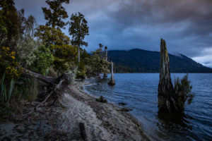Evening mood on the shores of Lake Brunner, South Island New Zealand Evening mood on the shores of Lake Brunner, South Island New Zealand