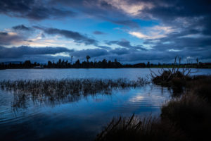 Evening mood and boardwalk on Lake Brunner, South Island New Zealand Evening mood and boardwalk on Lake Brunner, South Island New Zealand