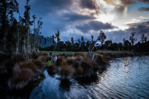 Evening mood and vegetation on Lake Brunner, South Island New Zealand Evening mood and vegetation on Lake Brunner, South Island New Zealand