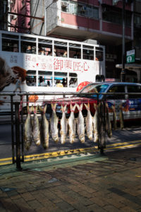 Fish drying on the Hong Kong roadside Fish drying on the Hong Kong roadside
