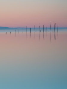 bow nets in the red sky, Müritz, Mecklenburg Lake District, Germany, Europe bow nets in the red sky, Müritz, Mecklenburg Lake District, Germany, Europe