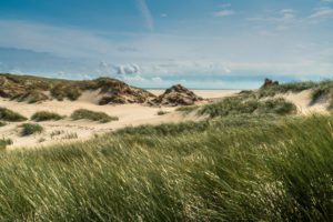 Europe, Germany, Schleswig-Holstein, North Frisian island, Nordfriesland, North Sea, Amrum, dunes on Amrum Europe, Germany, Schleswig-Holstein, North Frisian island, Nordfriesland, North Sea, Amrum, dunes on Amrum