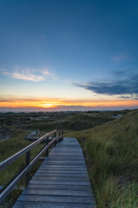 Europa, Wattenmeer, Nordsee, Nordseeinsel, Deutschland, Nordfriesland, Schleswig-Holstein, Amrum Europa, Wattenmeer, Nordsee, Nordseeinsel, Deutschland, Nordfriesland, Schleswig-Holstein, Amrum