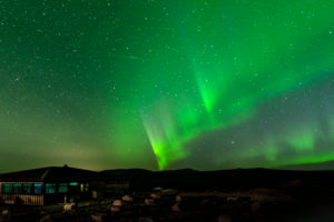 Europe, northern island nation of Iceland, northern lights at Gulfoss Europe, northern island nation of Iceland, northern lights at Gulfoss