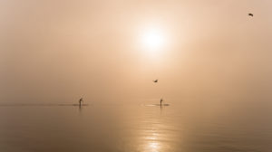 Europe, Switzerland, Canton of Zurich, Lake Zurich, Gold Coast, Stäfa, foggy mood in the Stäfa lido Europe, Switzerland, Canton of Zurich, Lake Zurich, Gold Coast, Stäfa, foggy mood in the Stäfa lido