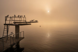 Europe, Switzerland, Canton of Zurich, Lake Zurich, Gold Coast, Stäfa, foggy mood in the Stäfa lido Europe, Switzerland, Canton of Zurich, Lake Zurich, Gold Coast, Stäfa, foggy mood in the Stäfa lido