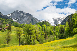 Europe, Switzerland, Canton of St. Gallen, Toggenburg, Spring mood Europe, Switzerland, Canton of St. Gallen, Toggenburg, Spring mood