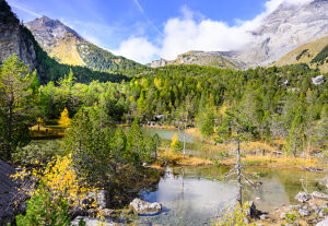 Europe, Switzerland, Canton Valais, Aven, Deborance, Autumn mood Europe, Switzerland, Canton Valais, Aven, Deborance, Autumn mood