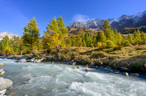 Europe, Switzerland, Canton Valais, Lötschental, Autumn atmosphere along the Lonza river Europe, Switzerland, Canton Valais, Lötschental, Autumn atmosphere along the Lonza river