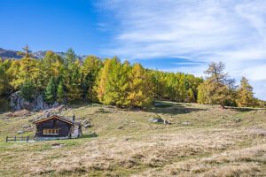 Europe, Switzerland, Canton Valais, Autumn atmosphere on the Moosalp Europe, Switzerland, Canton Valais, Autumn atmosphere on the Moosalp