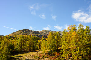 Europe, Switzerland, Canton Valais, Autumn atmosphere on the Moosalp Europe, Switzerland, Canton Valais, Autumn atmosphere on the Moosalp