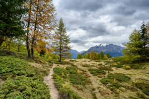 Europe, Switzerland, Canton Valais, Autumn atmosphere on the Moosalp Europe, Switzerland, Canton Valais, Autumn atmosphere on the Moosalp