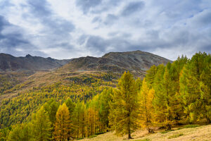 Europe, Switzerland, Canton Valais, Autumn atmosphere on the Moosalp Europe, Switzerland, Canton Valais, Autumn atmosphere on the Moosalp