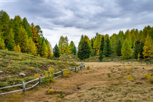 Europe, Switzerland, Canton Valais, Autumn atmosphere on the Moosalp Europe, Switzerland, Canton Valais, Autumn atmosphere on the Moosalp