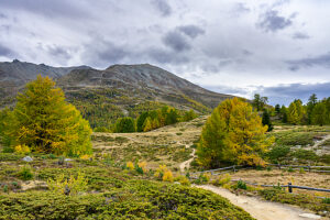 Europe, Switzerland, Canton Valais, Autumn atmosphere on the Moosalp Europe, Switzerland, Canton Valais, Autumn atmosphere on the Moosalp