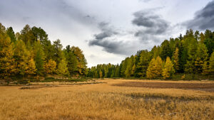 Europe, Switzerland, Canton Valais, Autumn atmosphere on the Moosalp Europe, Switzerland, Canton Valais, Autumn atmosphere on the Moosalp