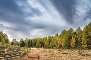 Europe, Switzerland, Canton Valais, Autumn atmosphere on the Moosalp Europe, Switzerland, Canton Valais, Autumn atmosphere on the Moosalp