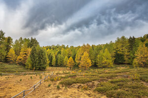 Europe, Switzerland, Canton Valais, Autumn atmosphere on the Moosalp Europe, Switzerland, Canton Valais, Autumn atmosphere on the Moosalp