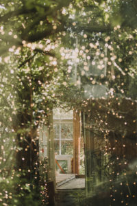 Alternative wedding, garden shed, strings of lights